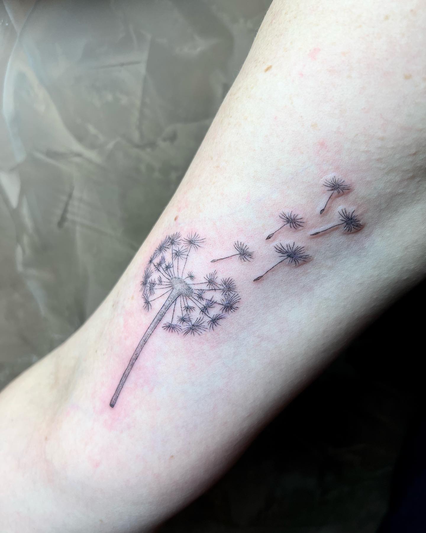 DANKE LIEBE SANDRA! @blattwerk.bochum . pusteblumetattoo finelinetattoo  tatt – Zeitgeist Tattoo Studio Bottrop